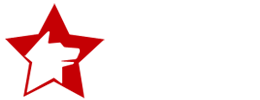 rexstar.ru